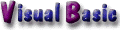 Visual Basic Visual Basic